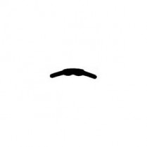 101-MB8/9BM Matrix Bands #8/9 Bicuspid Medium (12)