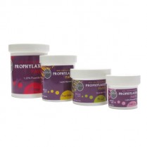 101-PPJMM Prophy Paste Jar Mint Medium 12oz