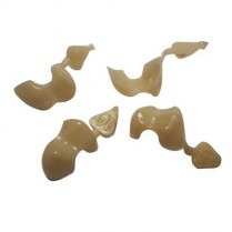 121-AC10 Direct Crown Refill Lower Bicuspid Ac-10 Large (8)