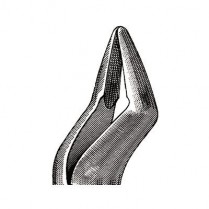 360-DEF32 Miltex #32 Extracting Forceps