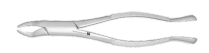362-05105 #10S Extracting Forceps-Ts