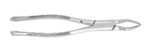362-05650 #65 Extracting Forcep-Ts