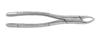 362-06154 #150S Extracting Forcep-Ts