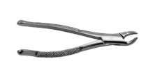 362-06155 #151S Extracting Forcep-Ts