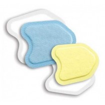 518-DYL Neodrys Large Blue (50)