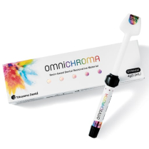 904-10116 Omnichroma Restorative Syringe 4gm