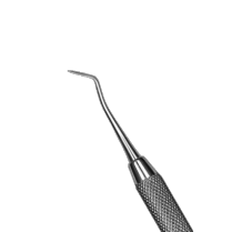 950-CVH1/MC2 #1 Hollenback/2 Mod Cleoid Small