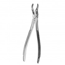 950-FX67A Extracting Forceps 67A Euro Style Serrated