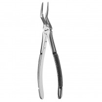 950-FX97 #97 Root Forceps Serrated
