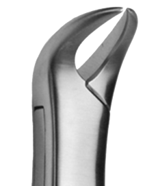 951-FB21X Nordent Miller Bone File De #21 Cross Cut