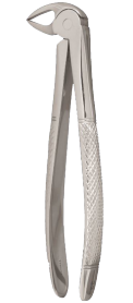 951-FE33 Nordent Extracting Forcep #33 Lower Root English