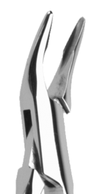 951-R1 Nordent Friedman Rongeur #1