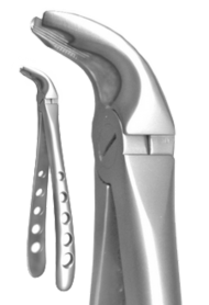 955-2190 A.Titan Extracting Forceps Lower Universal