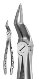 955-5115 A.Titan Extracting Forceps Upper Root
