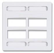SIE-MXFPD1202 MAX Face plate Double Gang - 12 port - White