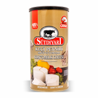 10-389-2 DAIRYLAND GOAT CHEESE 6/800 GR