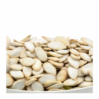 18-101-1 M.E.SQUASH SEEDS OREGAN  20  LB