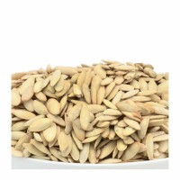18-105-1 IMPORTED PUMPKIN SEEDS         20 LB