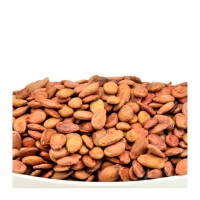 18-265-1 PERSIAN RED MELON SEEDS 20 LB