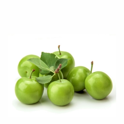 20-651-1 FRESH GENERIC 25 LB