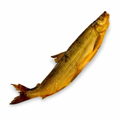 26-609-2 WHITE FISH COLD SMKD          *16LB