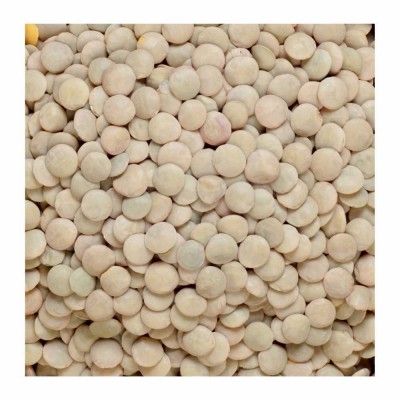29-252-1 GREEN LENTILS LARGE 50 LB