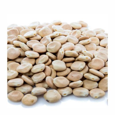 29-355-1 LUPINI BEANS                   55 LB