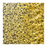 46-225-1 GREEN COFFEE BEANS             10 LB