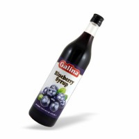 48-123-1 GALINA BLUEBERRY SYR 12/1 LT