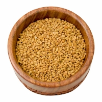 60-251-1 FENUGREEK WHOLE   50 LB