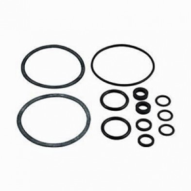 AP-P01 Powers Gasket Kit