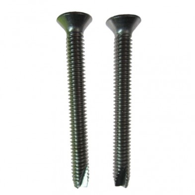 EQ-107 Symmons Screw (2)