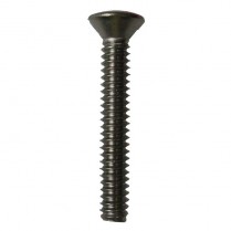 JS-404 Savoy Old Style Face Plate Screw