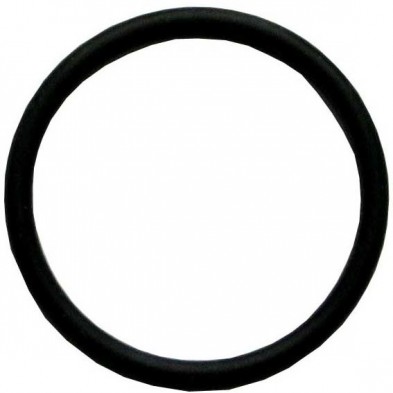 RD-115 Delany FV "O" Ring
