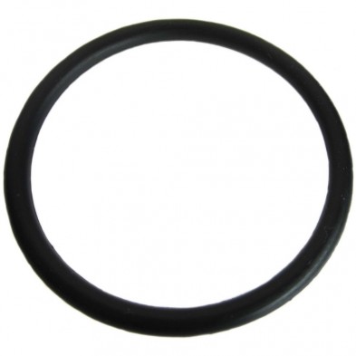 RS-110 Sloan Tailpiece O-Ring