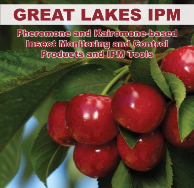 GL/GL-9999-02 $3 PROCESSING FEE