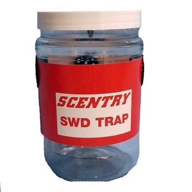 GL/SC-5000-12 SCENTRY SPOTTED WING DROSOPHILA TRAPS, 12/CS