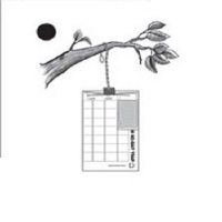 GL/TR-4213-06 TR&Eacute;C&Eacute; PHEROCON OLIVE FRUIT FLY KIT (DOUBLE LURE), 3 STATION