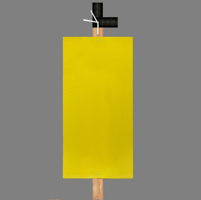 GL/TR-4424-01 TR&Eacute;C&Eacute; PHEROCON PEPPER WEEVIL (PEW) KIT, 4 STATION