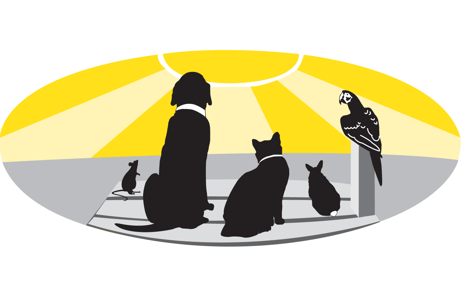 Freedom Pet Supplies Inc.