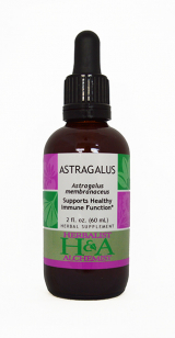  Astragalus Extract