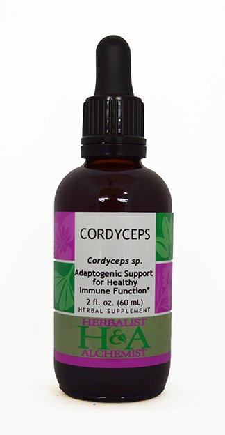  Cordyceps Extract