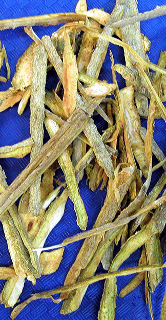  Cramp Bark Extract