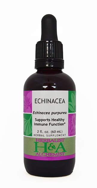  Echinacea Extract