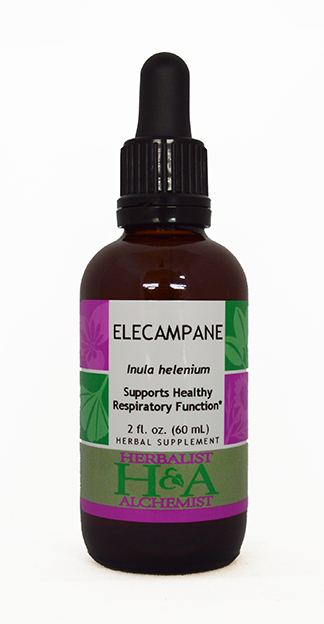  Elecampane Extract