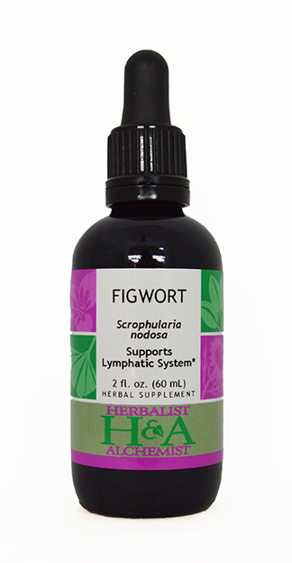  Figwort Extract