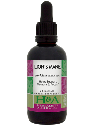  Lion's Mane Extract