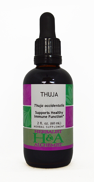  Thuja Extract