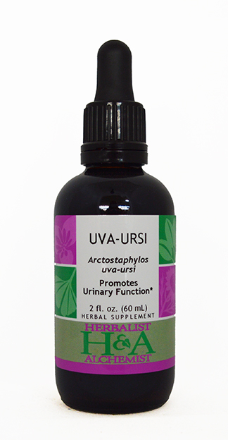  Uva-Ursi Extract