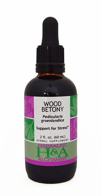  Wood Betony Extract